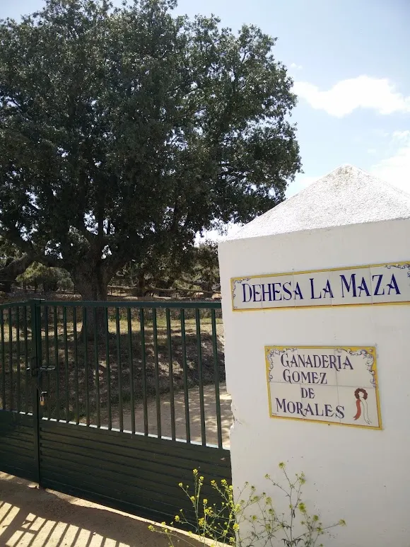 Ganadería Gómez de Morales - Ganadero en Salamanca
