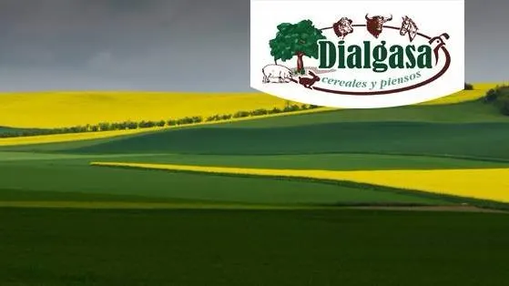 Dialgasa - Santa Marta de Tormes