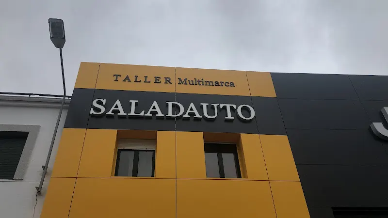 Saladauto, Taller de vehículos Multimarca. Asistencia 24horas - Taller de automóviles en Villares de la Reina - foto 2