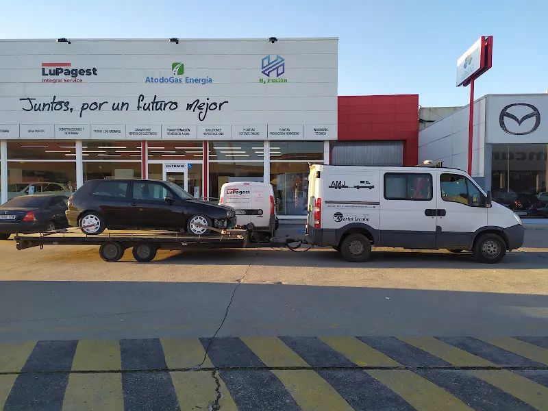 TOLEMARTIN