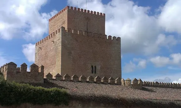 Aceitunas Miroliva S L - Ciudad Rodrigo