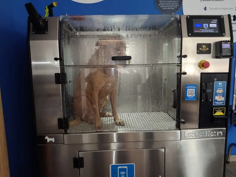 Lavakan | Spa para mascotas - Peluquero de mascotas en Salamanca - foto 2