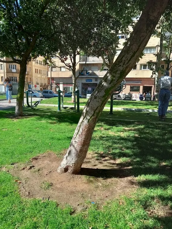 Parque Municipal Evaristo Rodríguez - Forfoleda