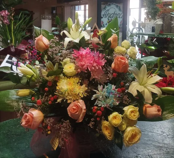 Andrea Floristería - Salamanca