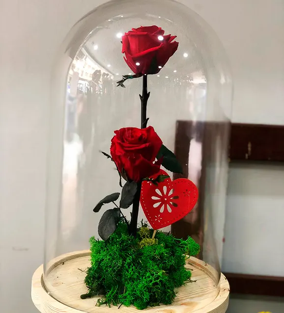 Floristería Bedunia - Salamanca