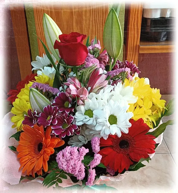 Floristería Kentia - Salamanca