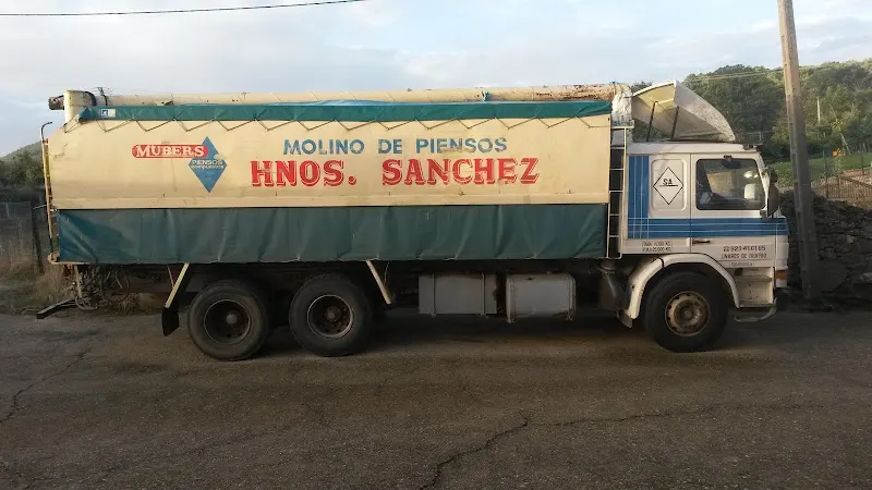 Hermanos Sánchez Martín - Béjar