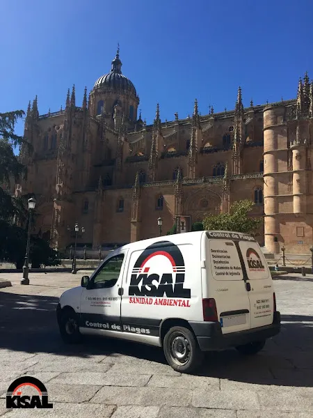 Kisal Sanidad Ambiental - Empresa de fumigación y control de plagas en Salamanca - foto 2