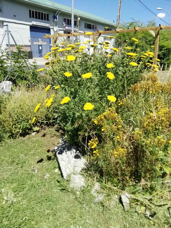 C.O. Asprocolor (Asprodes Béjar) - Béjar