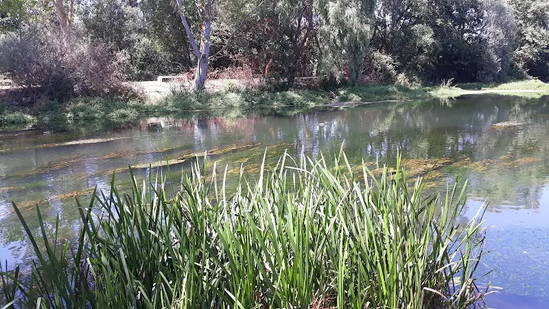 PISCIFACTORIA PISZOLLA, S. L. en Salamanca