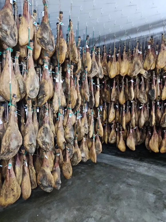 Jamones y Embutidos Tierra de Ibéricos SL