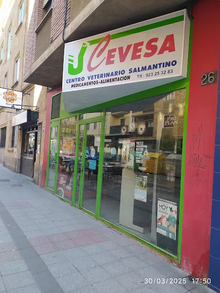 CEVESA. CENTRO VETERINARIO SALMANTINO - Hospital veterinario en Salamanca - foto 2