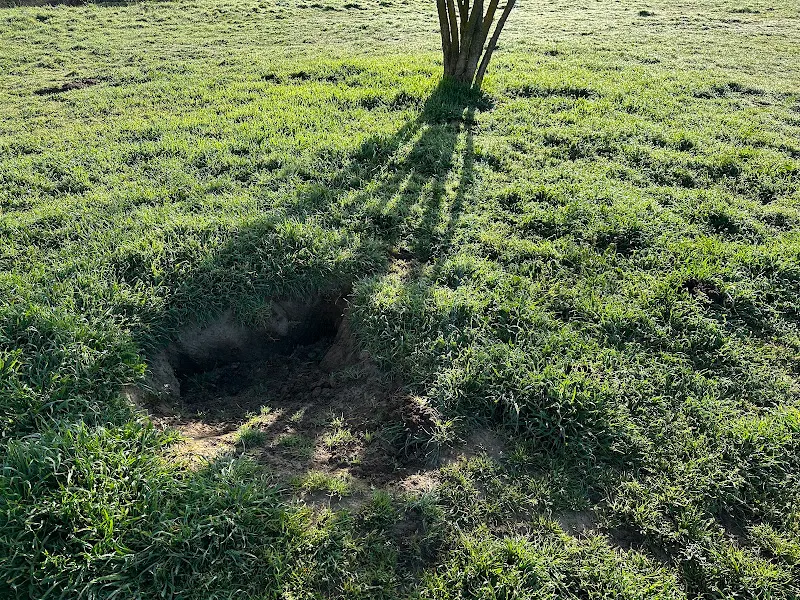 Parque Canino - Parque para perros en Santa Marta de Tormes - foto 2