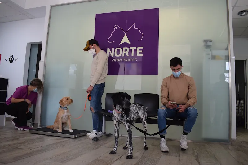 Norte Veterinarios