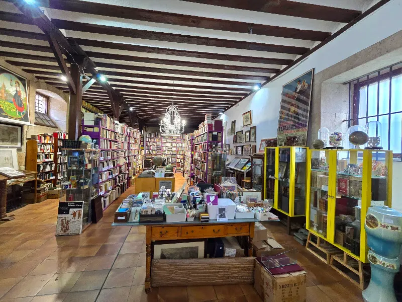 Librería Anticuaria Mundus Libri - Librería en Salamanca - foto 3