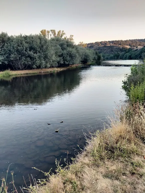Molino de Valdespino - Ciudad Rodrigo