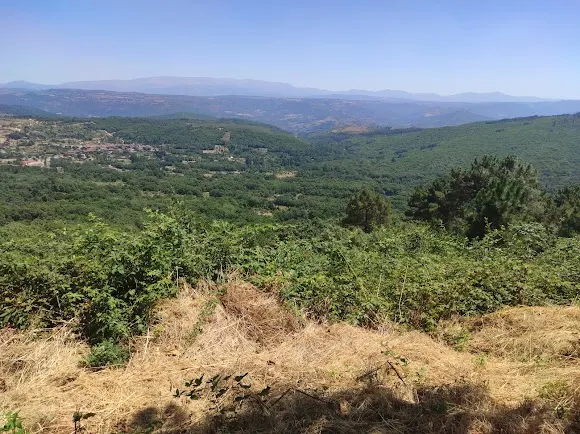 Mirador de Madroñal