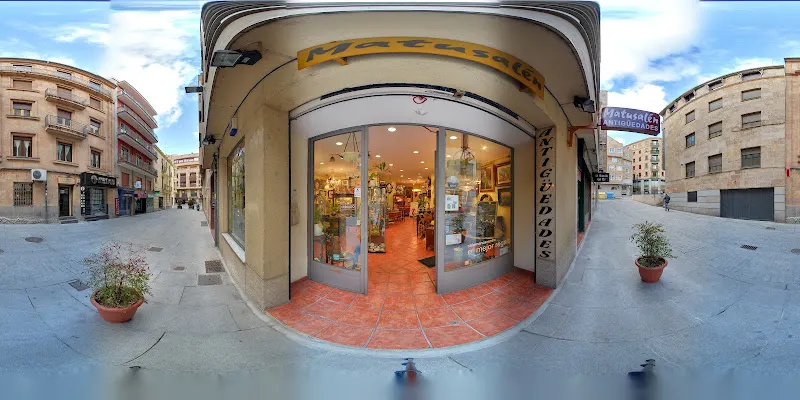 Matusalén Antigüedades - Tienda de antigüedades en Salamanca - foto 2