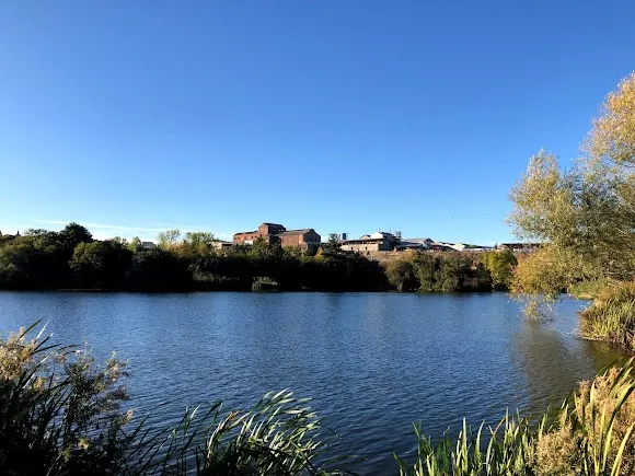 Desembocadura del canal de Villagonzalo