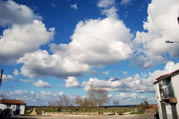 Parque - Almendra