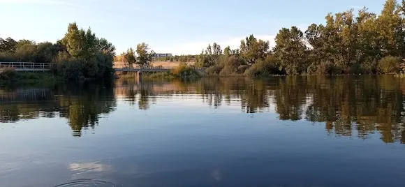 Pesquera de Tejares