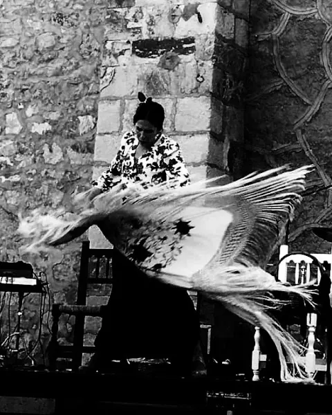 Instituto Flamenco Rebeca GarVía