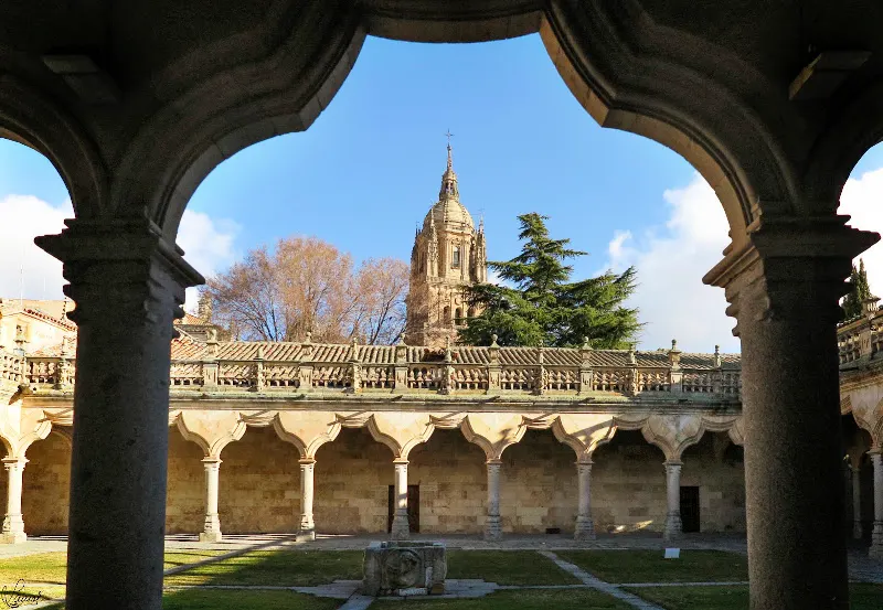 TU GUÍA EN SALAMANCA - Visitas Guiadas Salamanca - Agencia de visitas turísticas en Salamanca - foto 2