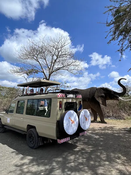 Vodevil Travel