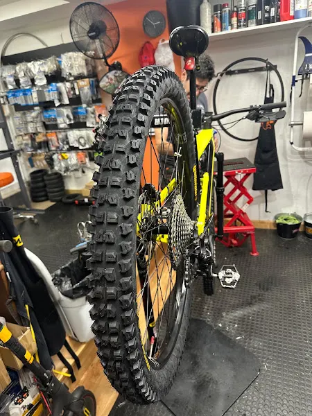bicio bikes