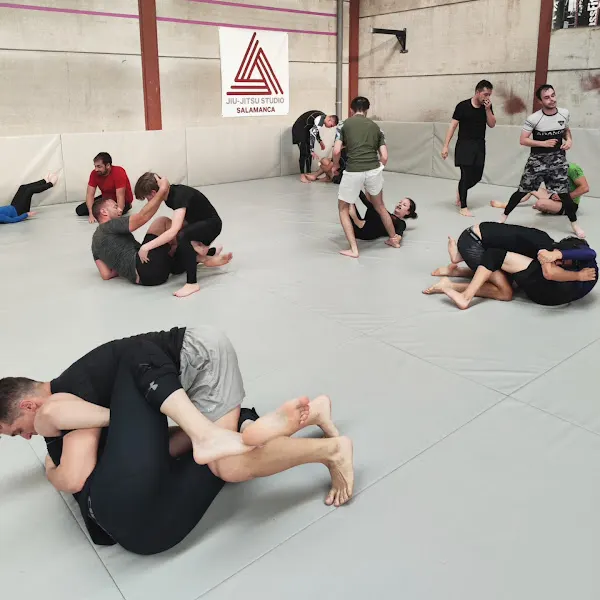 Jiu Jitsu Studio Salamanca