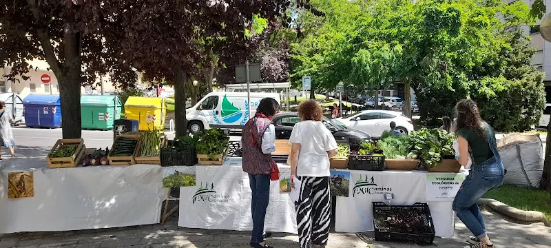 Asociación LA ALDEHUELA. - Asociación u organización en Salamanca - foto 2