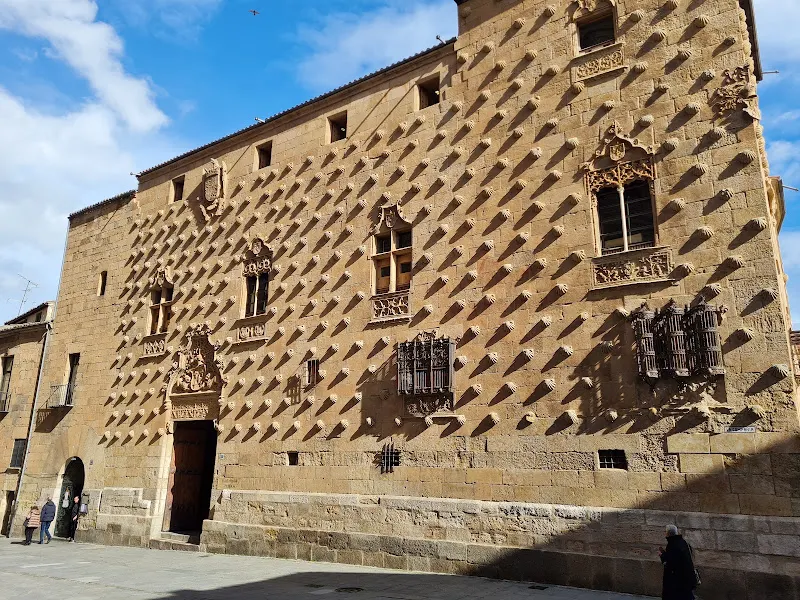 Biblioteca Pública de Salamanca Casa de las Conchas - Biblioteca pública en Salamanca - foto 3