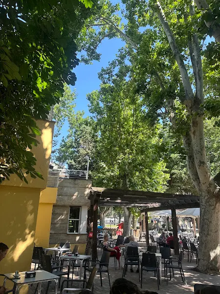 Café La Alamedilla - Cafetería en Salamanca - foto 2