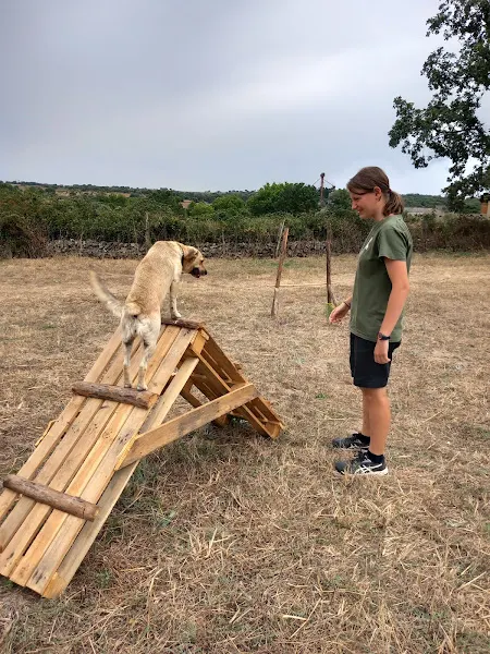 Guardería Canina del Camping Arribes del Duero - Lumbrales
