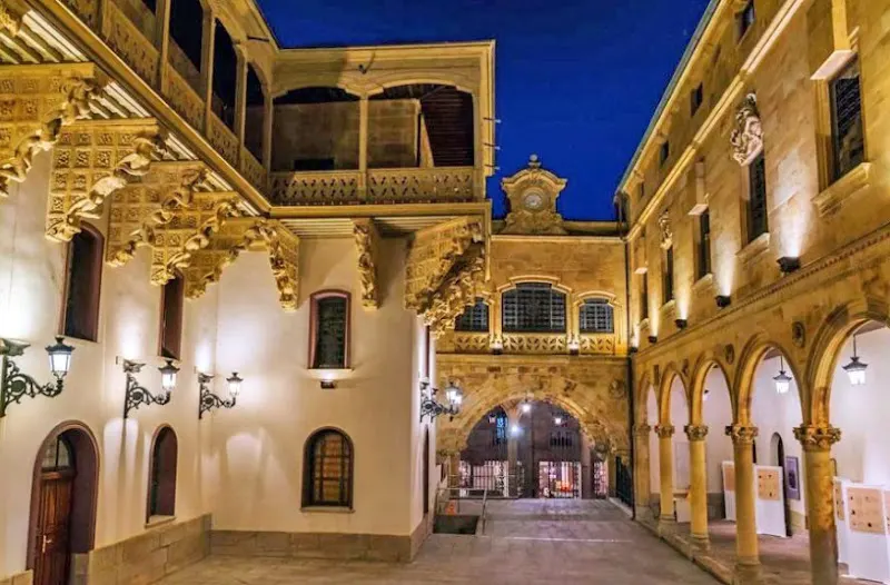Palacio de la Salina - Atracción turística en Salamanca - foto 2