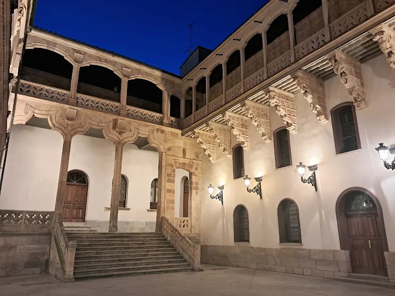 Palacio de la Salina - Atracción turística en Salamanca - foto 3