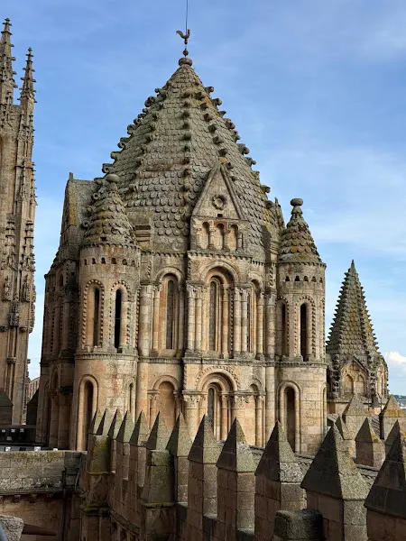 Catedral Vieja de Santa María de la Sede de Salamanca - Añadir categoría en Salamanca - foto 3