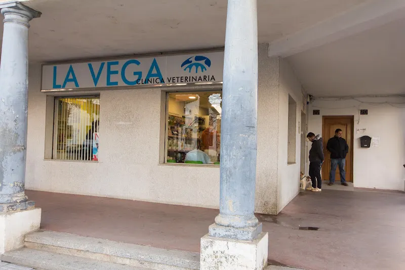 Clínica Veterinaria La Vega Veterinario 24 horas Salamanca - Salamanca