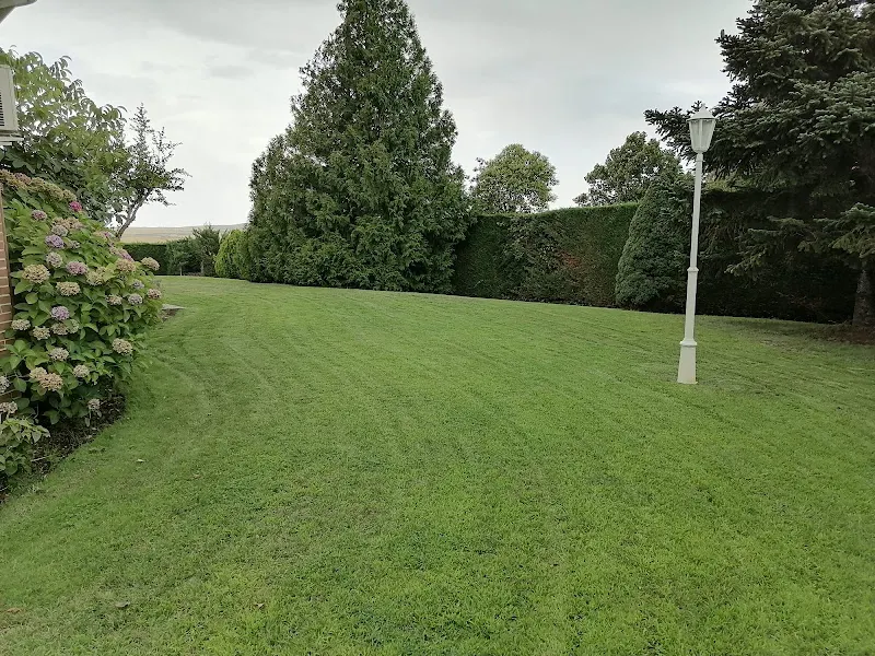 Bella Jardinería - Iván Mateos - Jardinero en Salamanca - foto 2